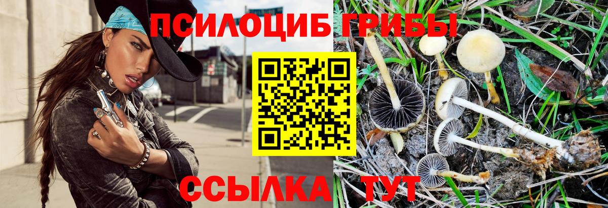 Галлюциногенные грибы прущие грибы  Вход с VPN  Чехов 