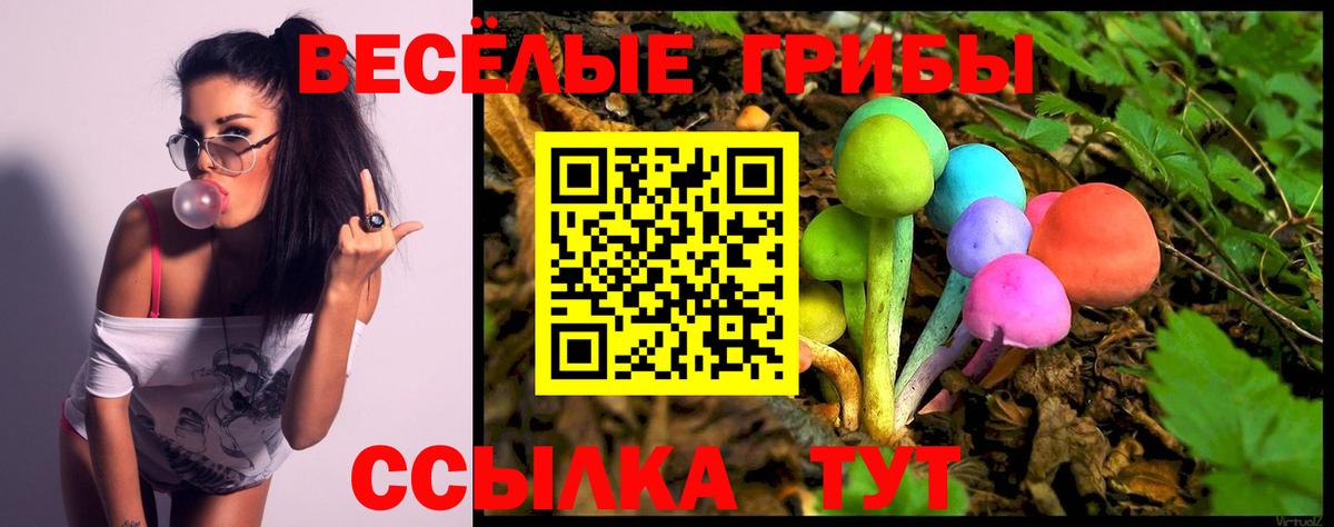 Псилоцибиновые грибы Cubensis Чехов