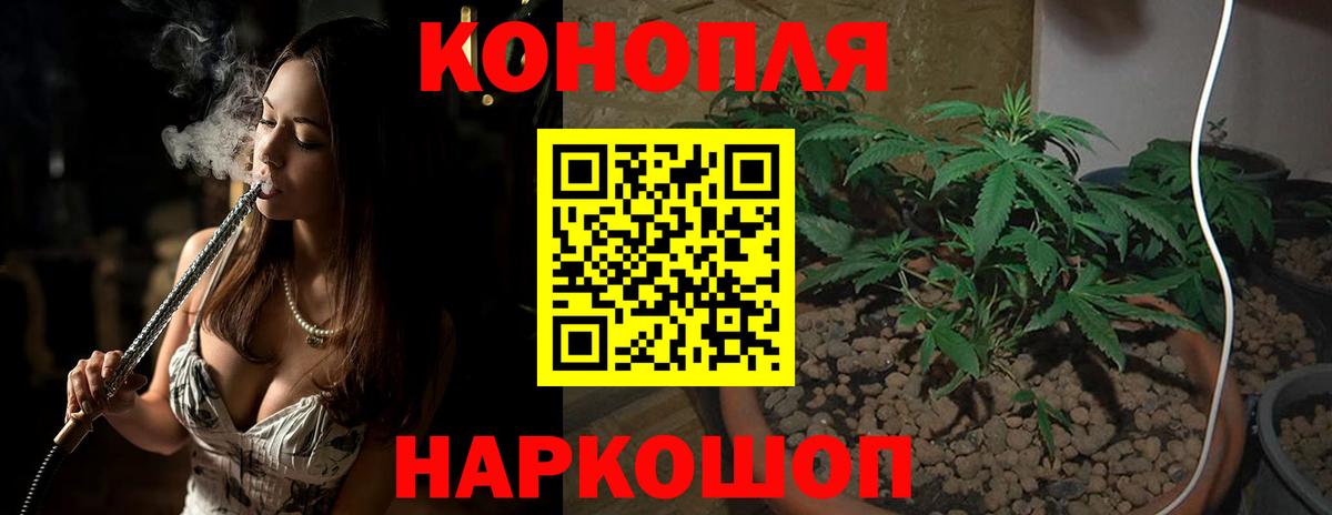 Чехов  Канабис планчик  Вход с VPN  Канабис сатива  Бошки марихуана планчик 
